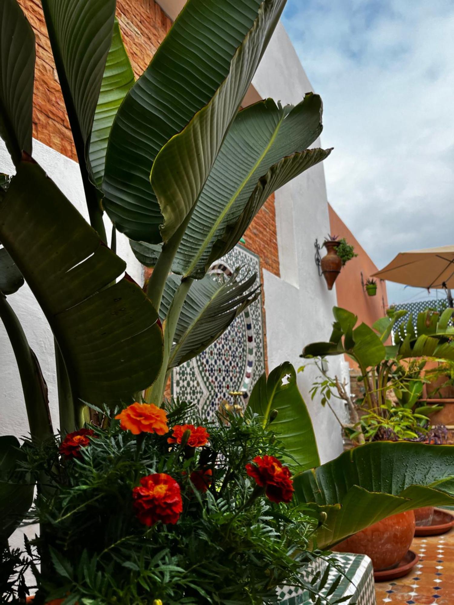 Affittacamere Casa Indigo